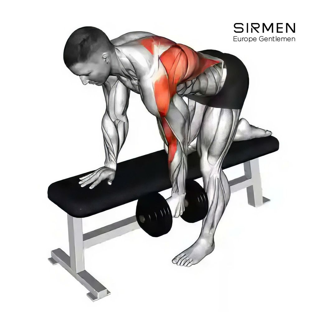 Tăng Cơ Lưng Xô Mạnh Mẽ Với 5 Bài Tập Đơn Giản Mà Hiệu Quả