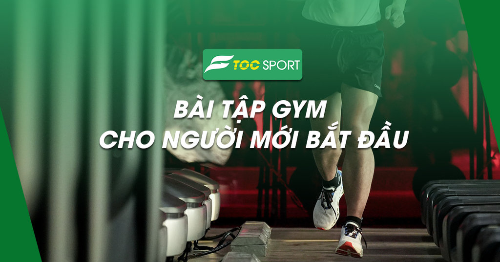 Tổng Hợp Các Bài Tập Gym Cho Người Mới Bắt Đầu