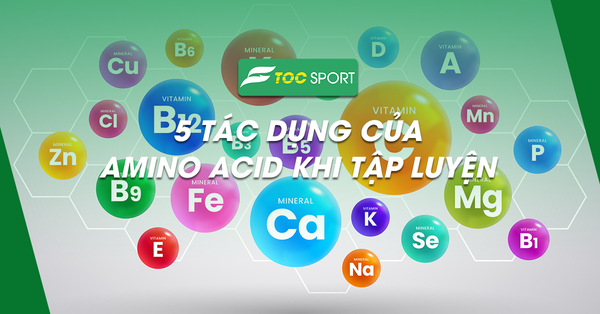 Bất Ngờ Với 5 Tác Dụng Của Amino Acid Khi Tập Luyện Thể Hình