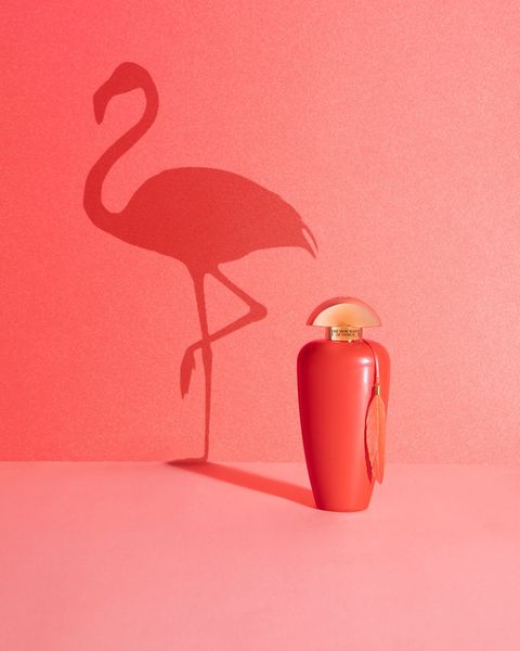 #FlamantRose - Một gam màu tươi sáng, lạc quan giữa ngày mưa bão 🦩