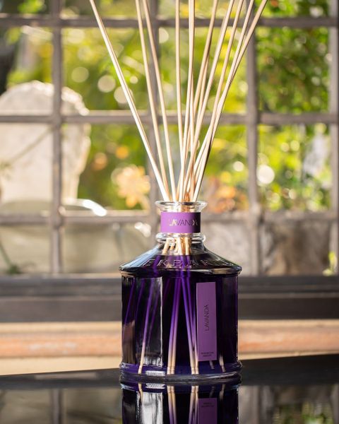 Lavanda - Hương mùa hè dịu dàng, nữ tính từ nước Ý