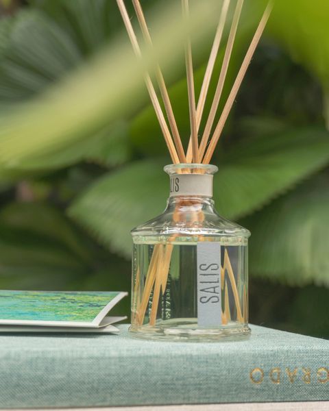 Mang biển về nhà 🌊🌦️