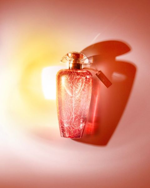 #RosaMoceniga - Đóa hồng quý hiếm cho người phụ nữ đặc biệt 🌹