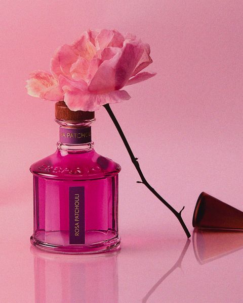 Rosa Patchouli - Tinh hoa của không gian sống lãng mạn