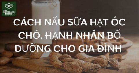 Cách Nấu Sữa Hạt Óc Chó Hạnh Nhân Bổ Dưỡng Cho Cả Gia Đình