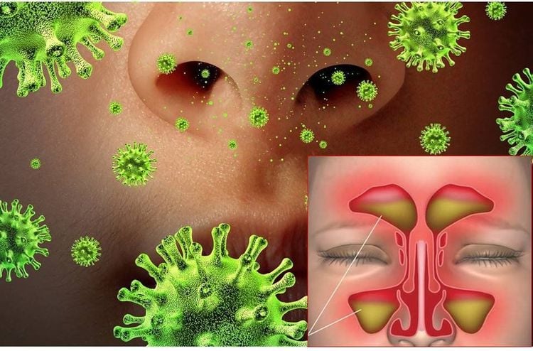 Vitamin D và khả năng đề kháng bệnh nhiễm trùng