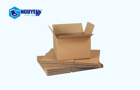 TÌM HIỂU VỀ THÙNG GIẤY CARTON (CARDBOARD)