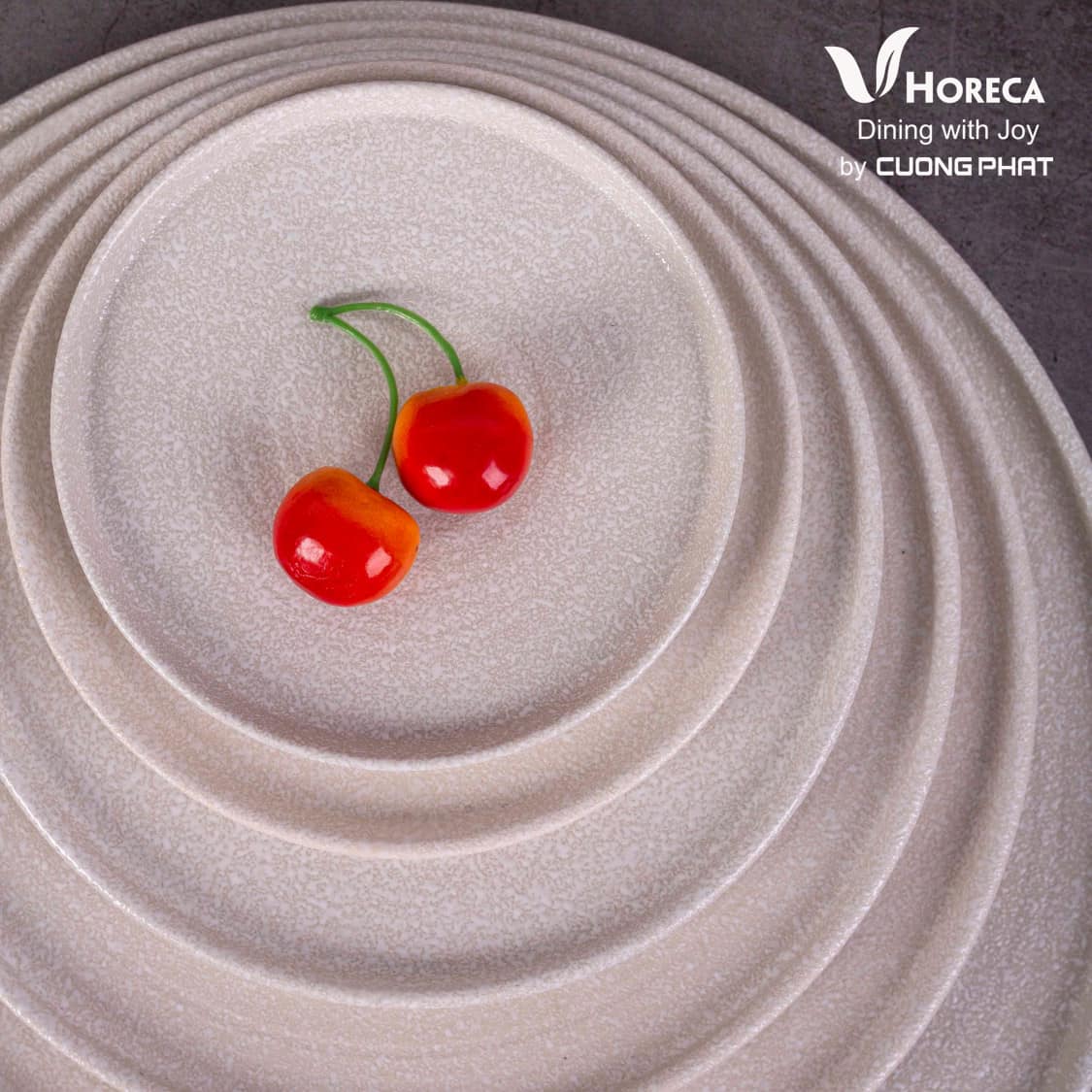 V-HORECA CÓ ĐA DẠNG CÁC SIZE ĐĨA TRÒN