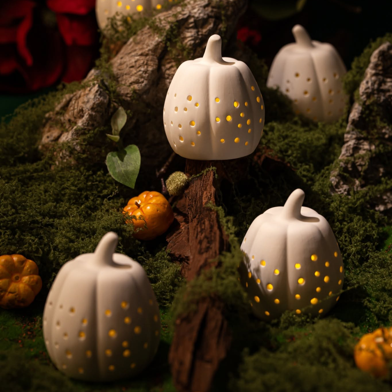 CHỤP ĐÈN TRÁI BÍ HALLOWEEN.