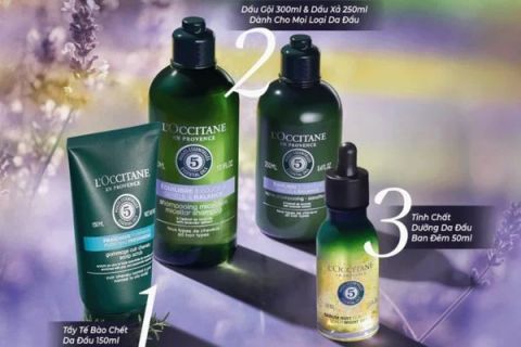 TOP 5+ Dầu Gội Mượt Tóc Giúp Tóc Bồng Bềnh, Óng Ả Tự Nhiên