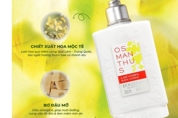 TOP 6 Sữa Dưỡng Thể Thơm Lâu, Quyến Rũ Cho Nàng