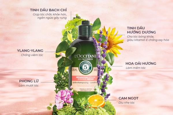 TOP 2+ Dầu Xả Phục Hồi Tóc Khô Xơ Hiệu Quả, Cao Cấp