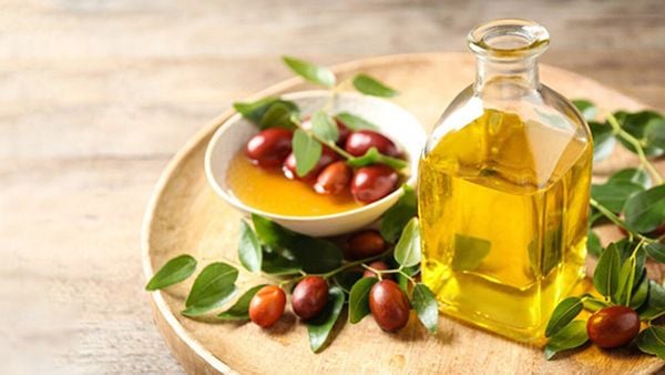 Dầu jojoba giúp duy trì cân bằng dầu trên da