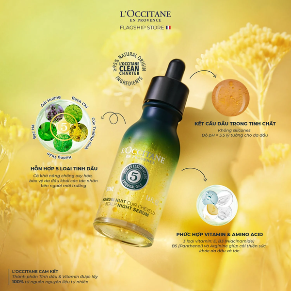 Cần dưỡng tóc phục hồi thường xuyên sau tẩy