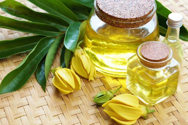 dầu dưỡng da chống lão hóa