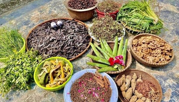 kích thích mọc tóc