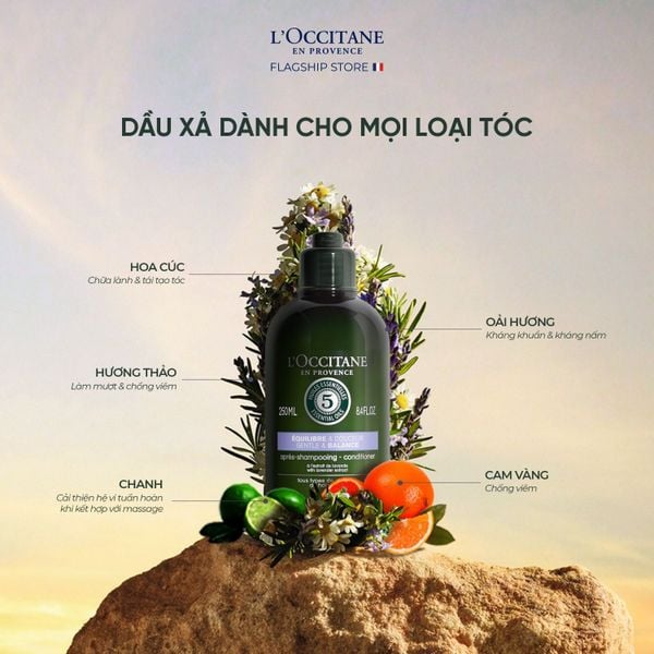 cách phục hồi tóc tại nhà