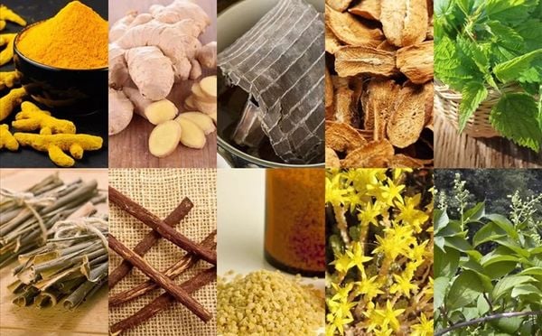 cách phục hồi tóc hư tổn tại nhà