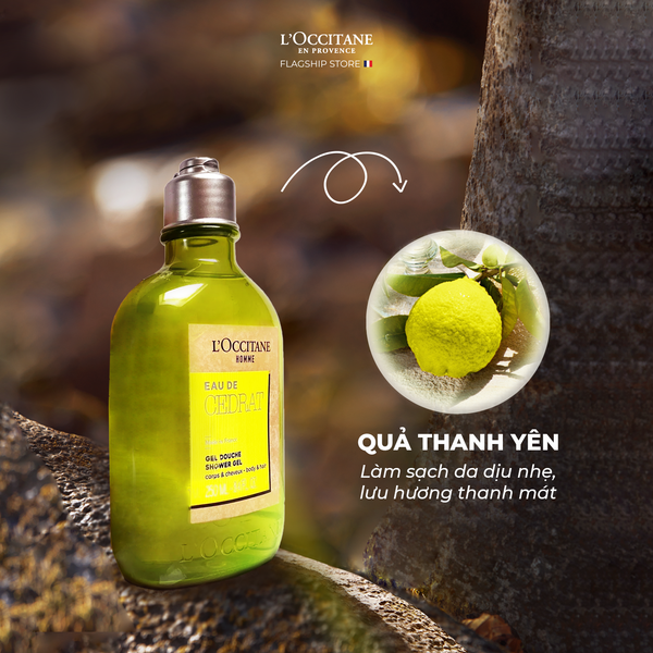 Gel Tắm Gội Hương Quả Thanh Yên Cổ Điển đến từ thương hiệu L'Occitane