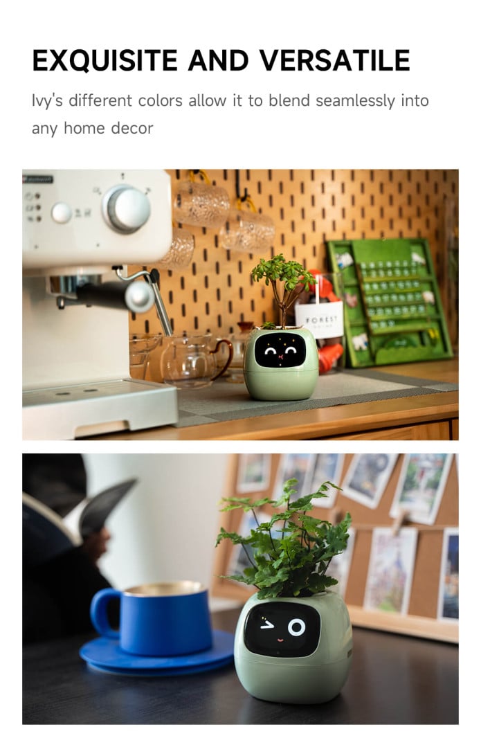Chậu cây thông minh có cảm xúc plantsio ivy