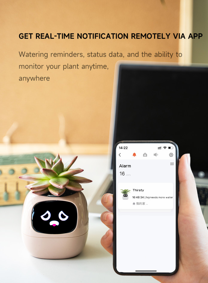 Chậu cây thông minh có cảm xúc plantsio ivy