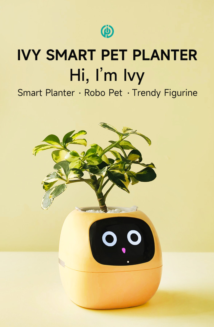 Chậu cây thông minh có cảm xúc plantsio ivy