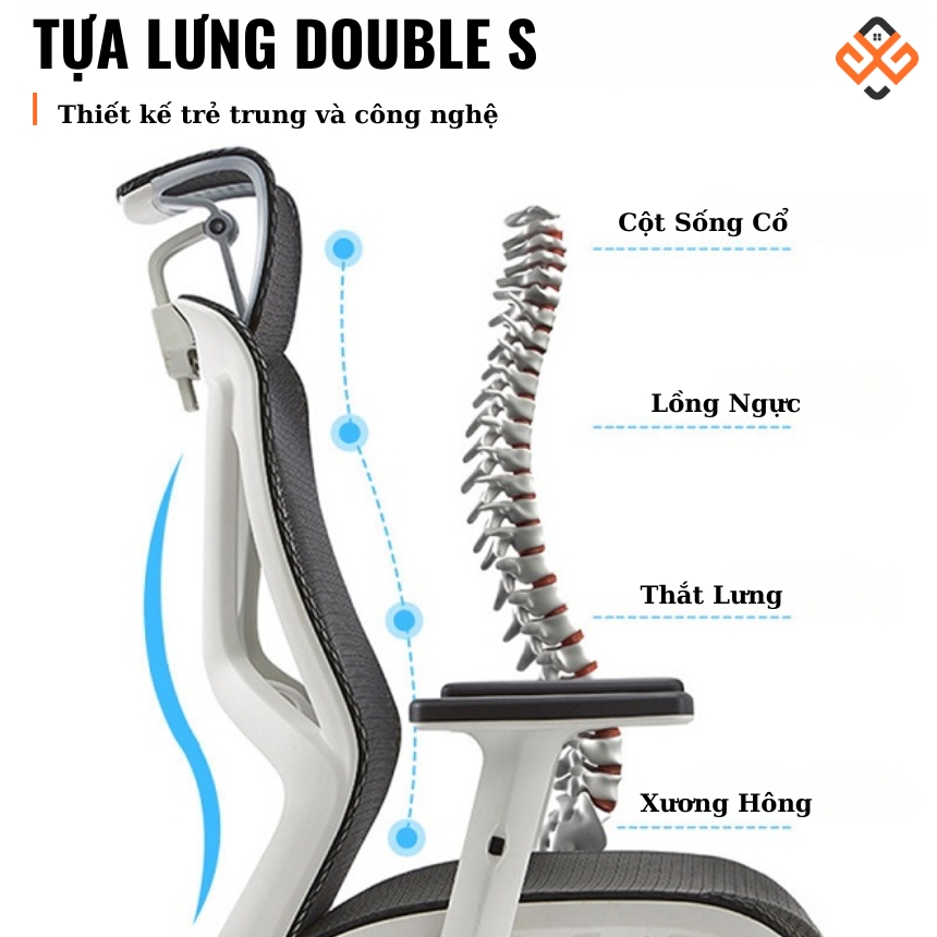 Tựa lưng thông thoáng, thiết kế đặc biệt ghế công thái học Spider 01