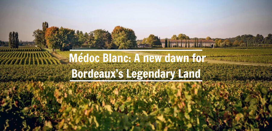 MÉDOC BLANC - ÁNH NẮNG BÌNH MINH TRÊN