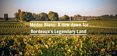 MÉDOC BLANC - ÁNH NẮNG BÌNH MINH TRÊN 