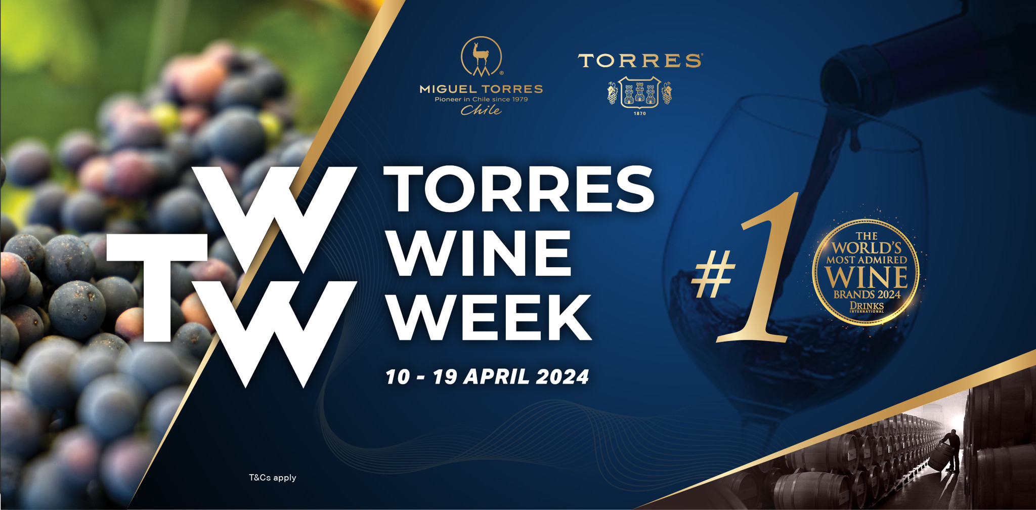 TORRES WINE WEEK | #1 THE WORLD’S MOST ADMIRED WINE BRANDS 2024!