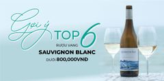 GỢI Ý TOP 6 RƯỢU VANG SAUVIGNON BLANC DƯỚI 800,000VNĐ