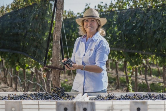 DISCOVER WOMEN IN WINE - A STORY ABOUT THE BEAUTY OF WILL AND PASSION