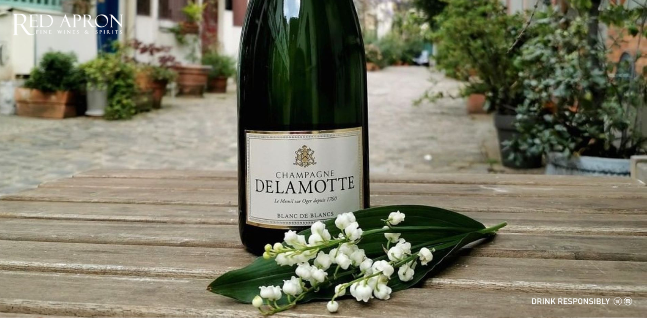 Blanc de Blanc là gì? Khám phá tinh hoa rượu vang trắng từ nho trắng