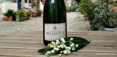 Blanc de Blanc là gì? Khám phá tinh hoa rượu vang trắng từ nho trắng