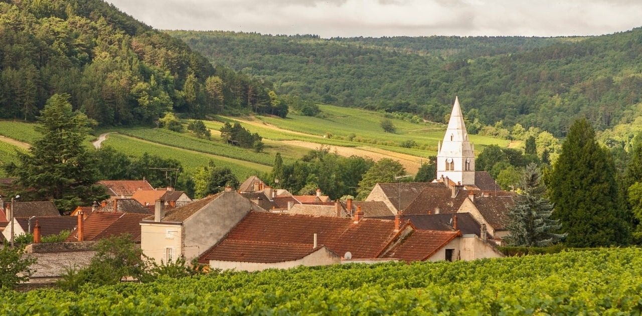 Vùng rượu vang Côte de Beaune