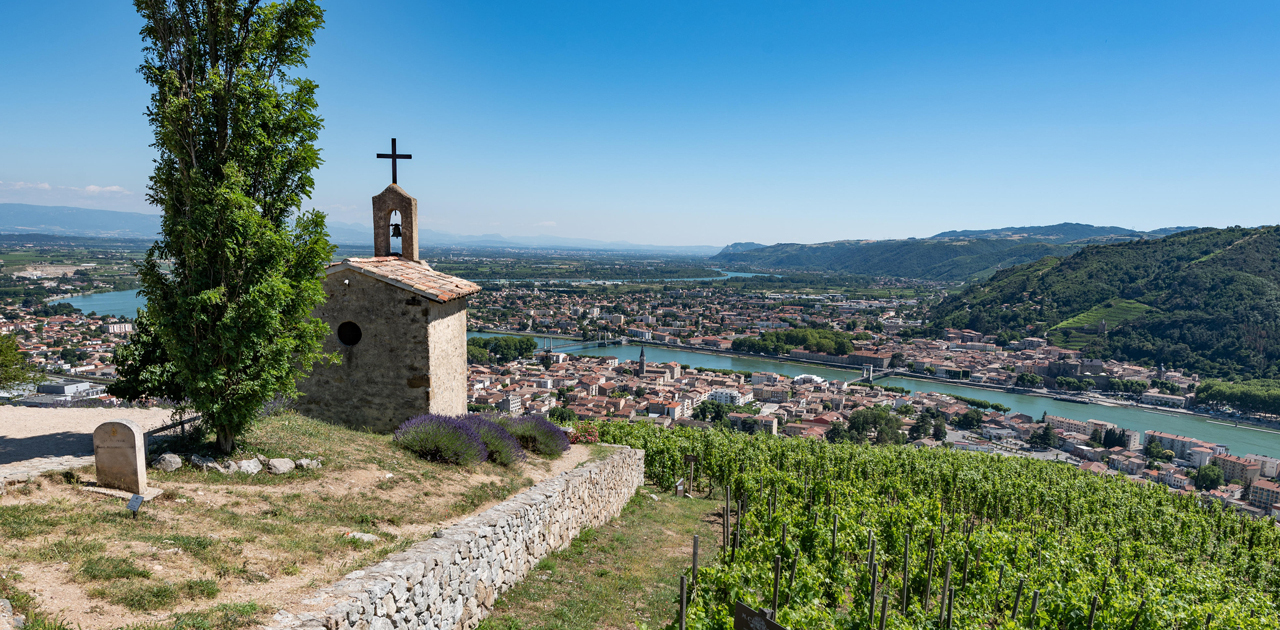 Vùng rượu vang Rhône Valley