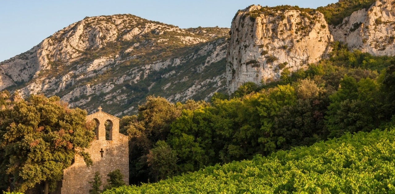 Vùng rượu vang Languedoc Roussillon
