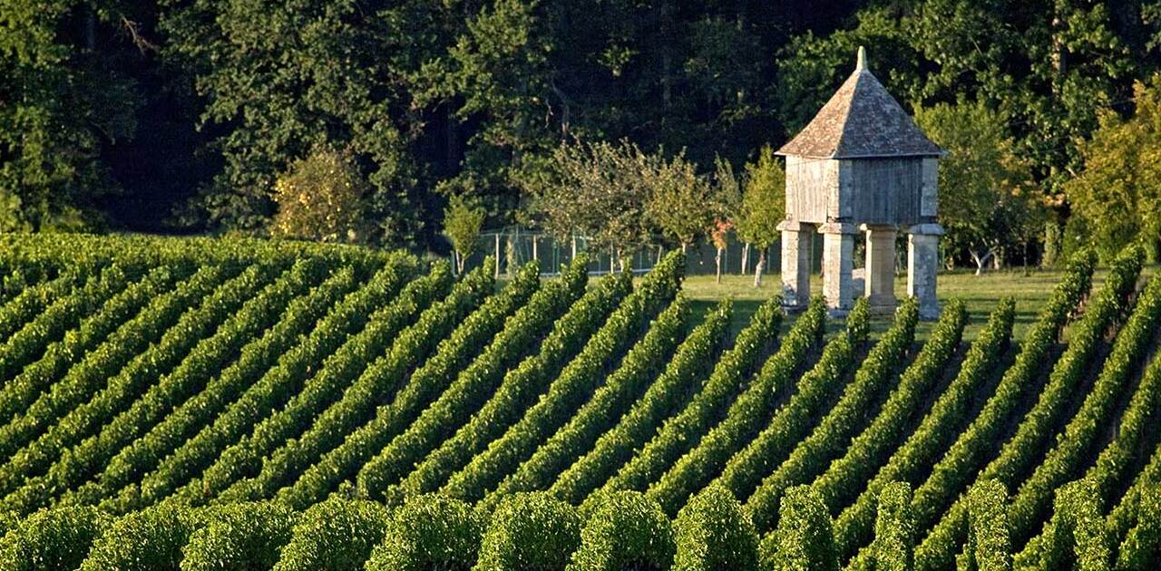 Vùng rượu vang Montagne Saint-Émilion