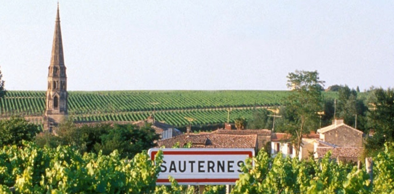 Vùng rượu vang Sauternes