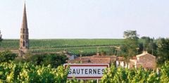 Vùng rượu vang Sauternes