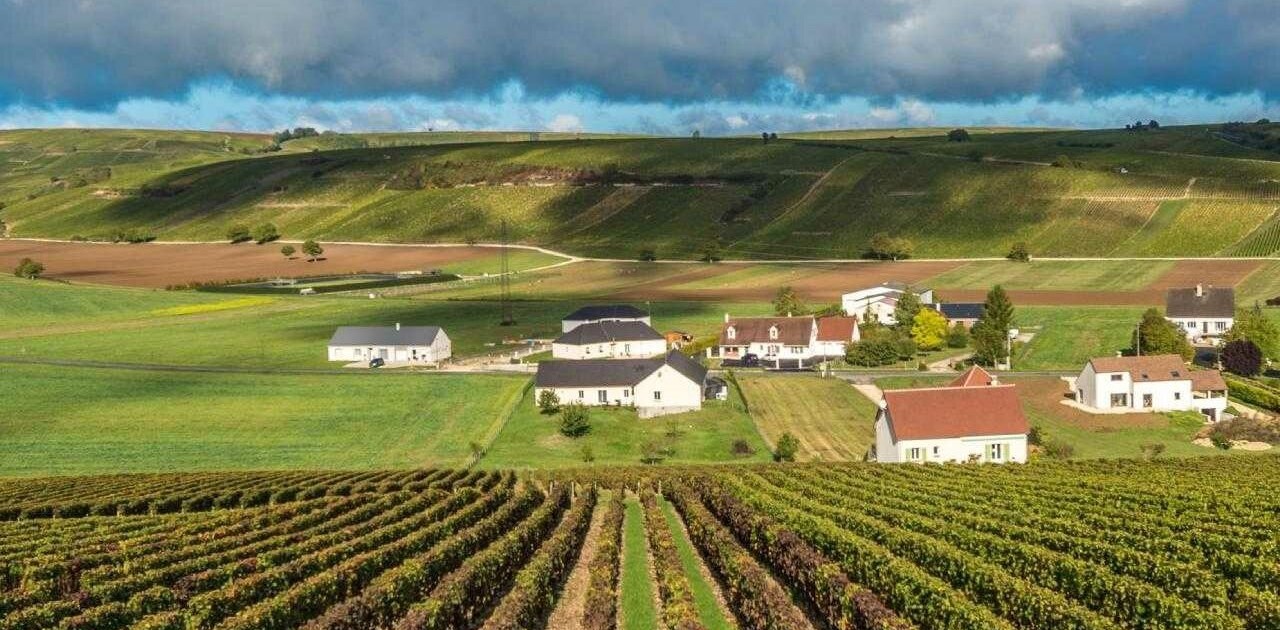 Vùng rượu vang Loire Valley