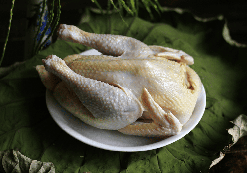Gà để khô ráo