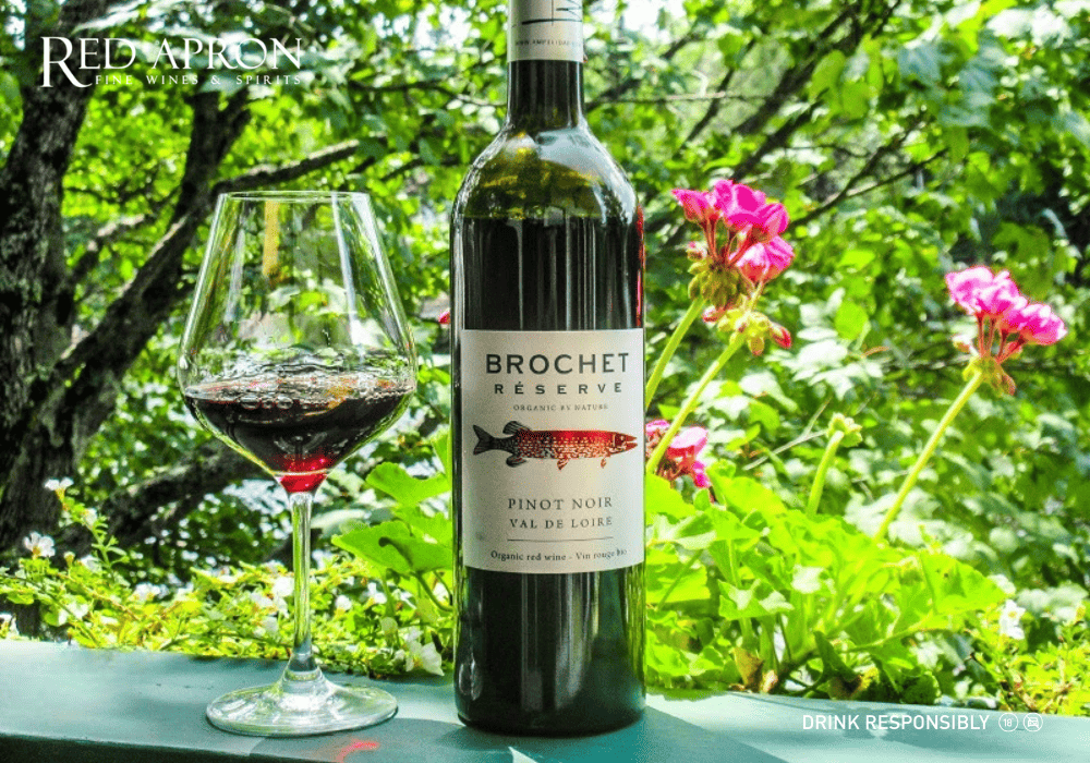 Ampelidae, Brochet Reserve Pinot Noir, Organic, IGP Val de Loire