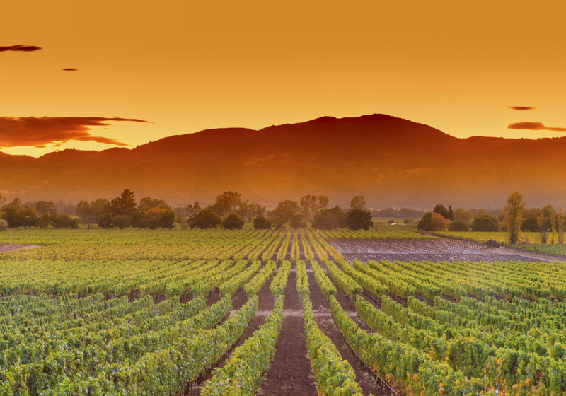 Napa Valley
