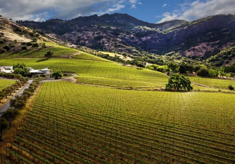 central valley napa
