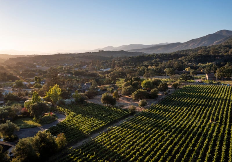 Napa Valley