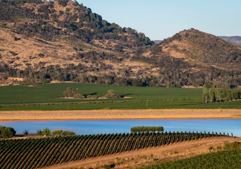 napa valley estates