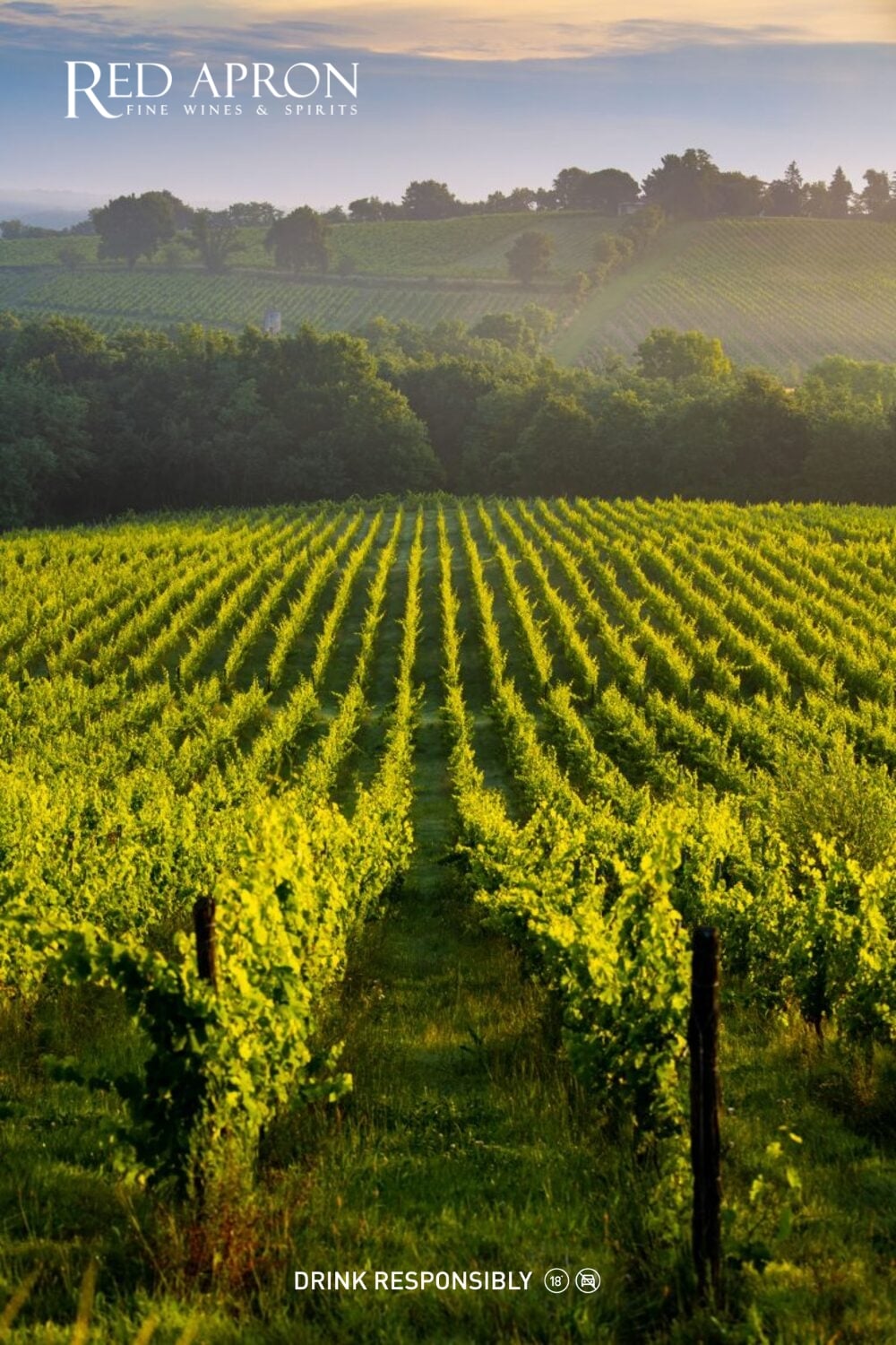 Bản đồ thể hiện Pessac-Léognan thuộc AOC Graves ở phía nam Bordeaux, nhấn mạnh terroir sỏi cuội đặc trưng.