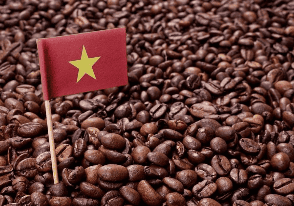 Cà phê là đặc sản của Việt Nam