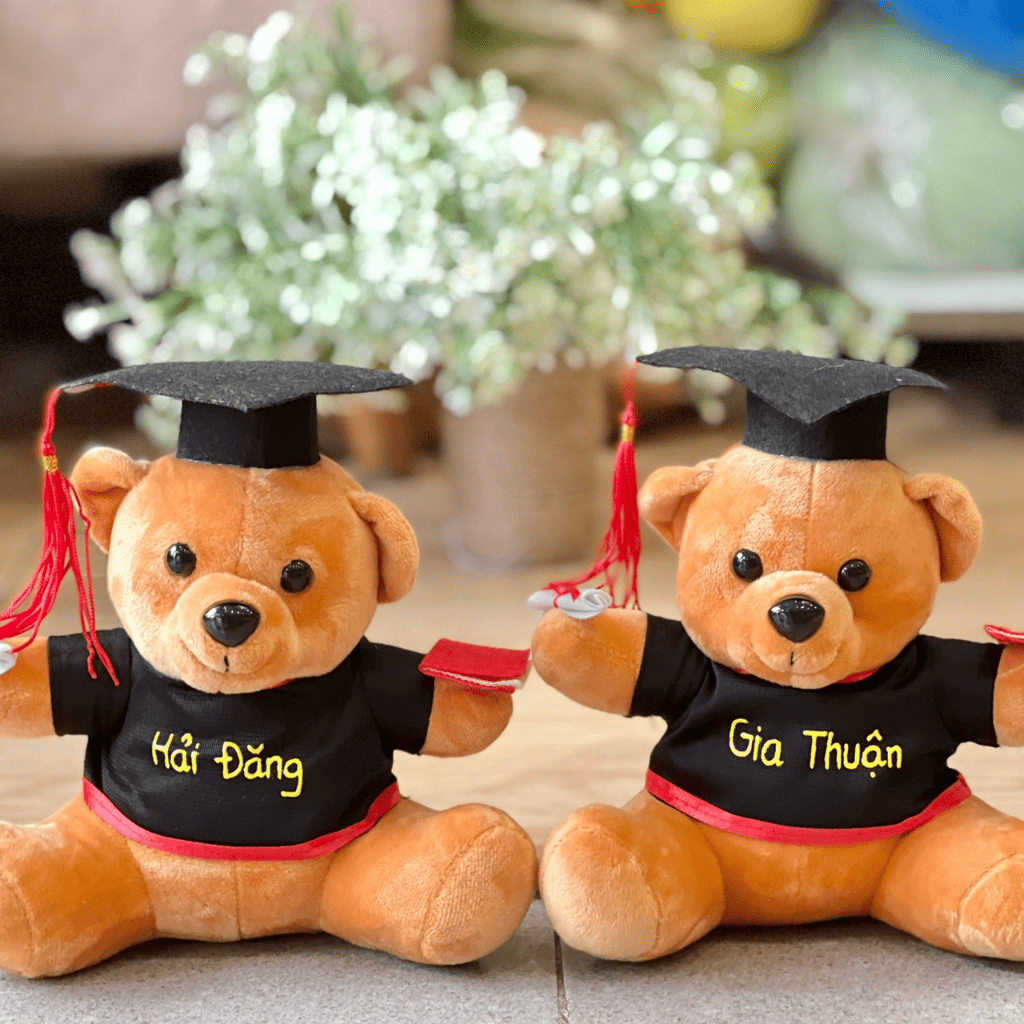 gấu bông tốt nghiệp
